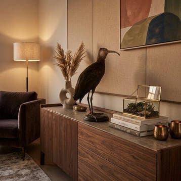 Olijf Ibis Taxidermie volledige montage - Bostrychia, Nieuw