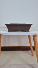 Bonsai Pot 31cm*20.5cm*6cm – keramiek - Hoogte (boom): 0 cm
