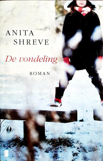 De vondeling 9789022562000 Anita Shreve, Verzenden, Anita Shreve