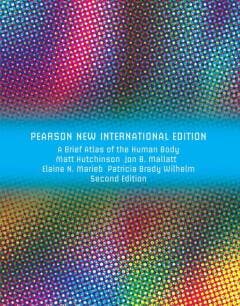 Brief Atlas of the Human Body (ValuePack Only) 9781292026404, Boeken, Verzenden, Gelezen, Hutchinson Matt