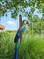 Papegaai op schommel - Beeldje - Parrot on Swing - Metaal