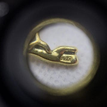 Zilver, Met de hand geglazuurd. - Broche - Pavo cristatus.