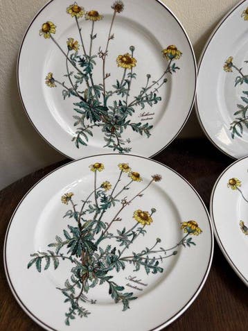 Villeroy & Boch - Assiette à dîner (6) - Botanica -