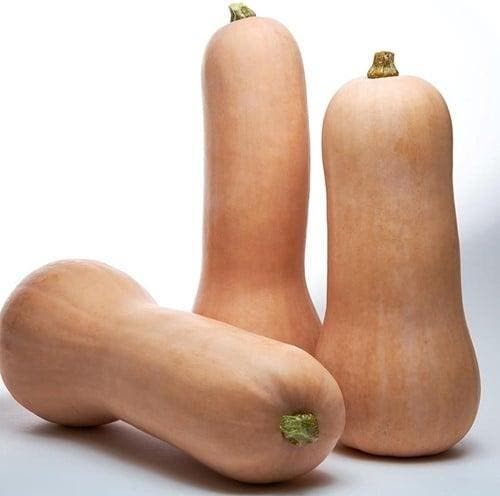 Titan F1 Butternut Pompoen kleinverpakking zaden, Hobby en Vrije tijd, Knutselen, Nieuw
