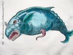 Aldrovandi; Fish, Monster Whale - hand coloured folio with, Antiek en Kunst