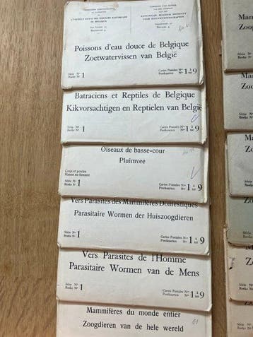 België - Dieren, Europa, Insects - 17 complete mapjes (153, Verzamelen, Gelopen