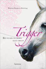 Trigger 9789020976694 M. Boracco Borring, Verzenden, Gelezen, M. Boracco Borring
