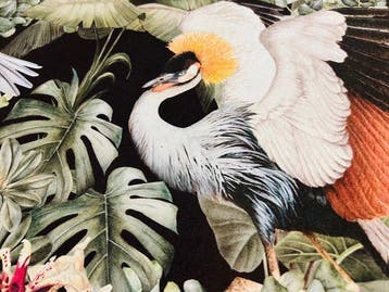 Geen reserveprijs!!! Betoverde Jungle – Het Weefsel dat
