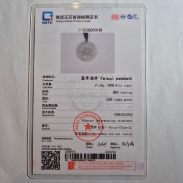 Jade - NGTC-gecertificeerde jadeiet (Type A) in reliëf
