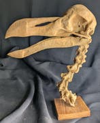 Fossiele schedel - Dodo (Raphus cucullatus) - Museum-Grade