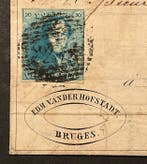 Belgique 1849 - Léopold Ier - Épaulette 20c bleu lait sur