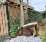 Beeldje - Clambering frog - Brons