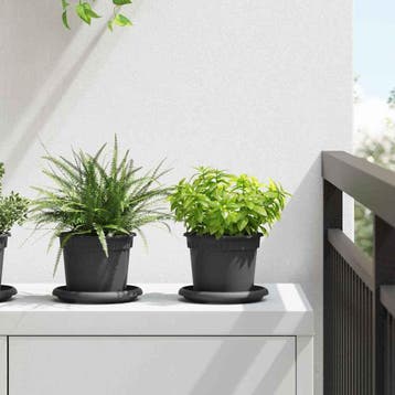 vidaXL Plantenpotten 24 pcs Zwart Ø 12,5 x 10 cm Kunststof, Verzenden, Nieuw