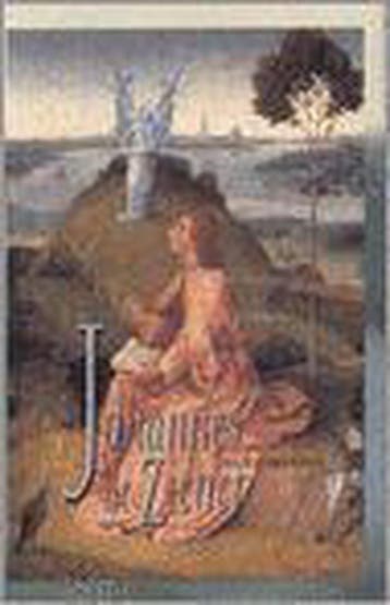 Johannes de ziener 9789043509169 J. Nieuwenhuis, Verzenden, J. Nieuwenhuis
