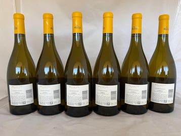2024 Antinori, Bramito della Sala Chardonnay - Umbrië IGT -, Nieuw