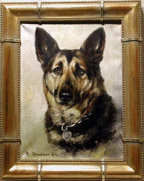 Andrea Hillen (Listed) - Portrait of German shepherd dog -, Antiquités & Art, Art | Peinture | Classique