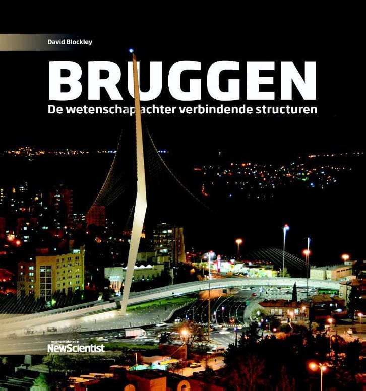 Bruggen / Wetenschappelijke bibliotheek / 133 9789085715207, Boeken, Techniek, Gelezen, Verzenden