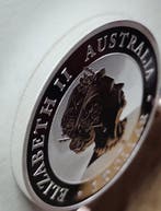 Australie. 1 Dollar 2021 Brumby (Sans prix de réserve)