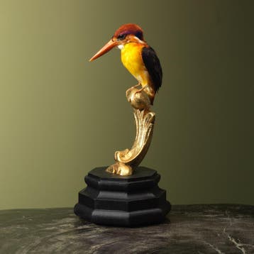 Zwartrugdwergijsvogel Taxidermie Opgezette Dieren By Max, Ophalen of Verzenden, Nieuw, Vogel, Opgezet dier