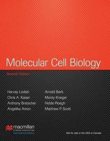 Molecular Cell Biology 7th 9781464109812 Angelika Amon, Boeken, Verzenden, Gelezen, Angelika Amon
