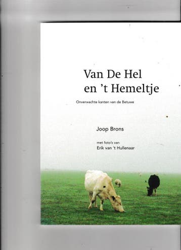 Van de hel en t hemeltje 9789090139050 J. Brons, Verzenden, Gelezen, J. Brons