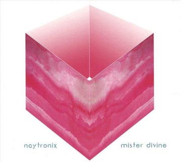 Naytronix - Mister Divine op CD, Verzenden, Nieuw in verpakking