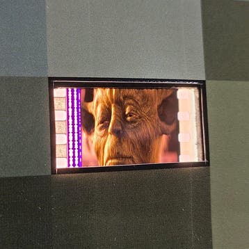 Tom L (1983) - #Yoda 35mm | Framed Artwork with Backlit 35mm