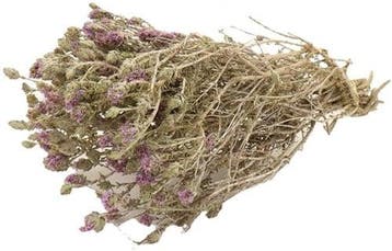 Menthe Polei droogbloemen in hoes bundel 70 gram, Nieuw