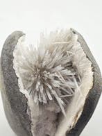Scolecite Géode - Hauteur : 9 cm- 436 g, Verzamelen, Mineralen en Fossielen