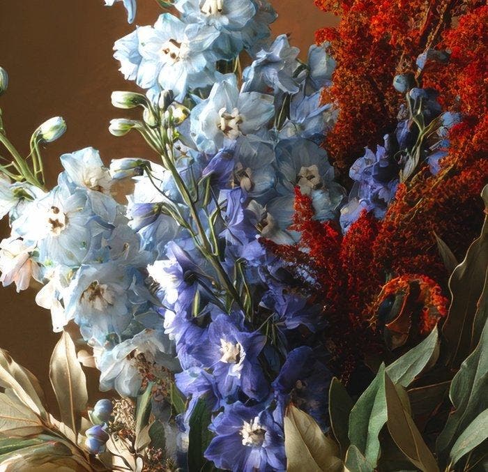 Christian Ovís - Floral Decadence, Antiquités & Art, Art | Objets design
