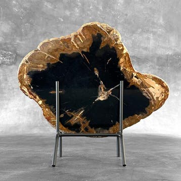 Époustouflante grande tranche de bois pétrifié sur un socle