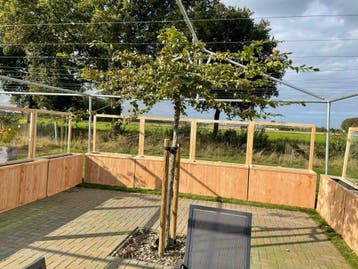 Douglas bloembak met plexiglas