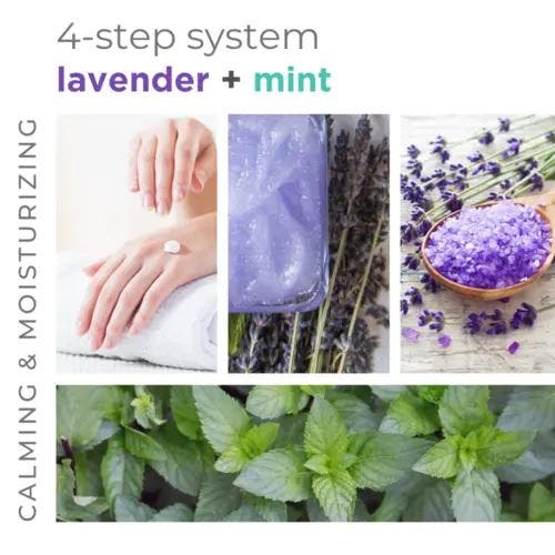 BCL SPA 4 Step Starter Kit (Body Scrub), Bijoux, Sacs & Beauté, Beauté | Soins du corps, Envoi