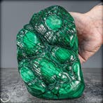 Natuurlijke zeer zeldzame gepolijste draakshuid- Malachiet, Collections, Minéraux & Fossiles