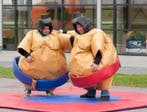 Sumo tapijt met 2 pakken voor volwassenen, Huis en Inrichting, Ophalen, Nieuw