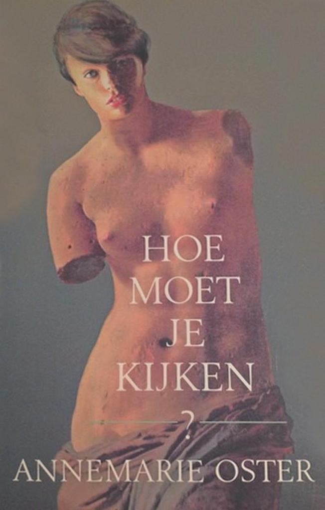 Hoe moet je kijken? / Grote ABC / nr. 673 9789029533171, Boeken, Romans, Gelezen, Verzenden