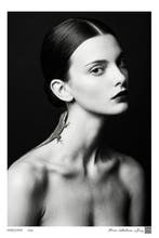 Alina Lebedeva - Lizard