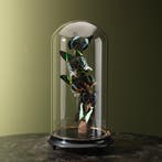 Vlinders in Stolp Taxidermie Opgezette Dieren By Max, Ophalen of Verzenden, Nieuw, Insect, Opgezet dier