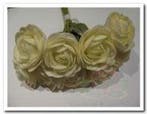 Camelia Roos Creme Foambloem 4 cm doos, Nieuw
