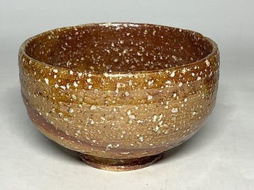 Masterpiece Shigaraki Ware Chawan by Zuiho Japanese Tea