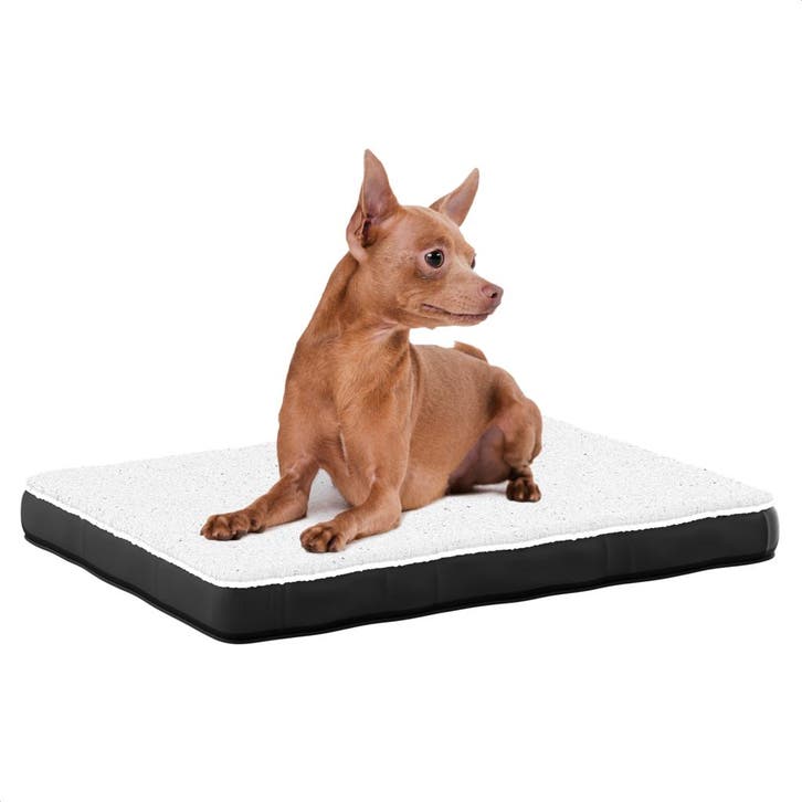 Avalo Orthopedisch Hondenkussen S - 45x65cm-Wasbaar/Antislip, Dieren en Toebehoren, Hondenmanden, Nieuw, Verzenden