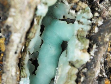Grote smithsoniet met limoniet Kristallen op matrix -