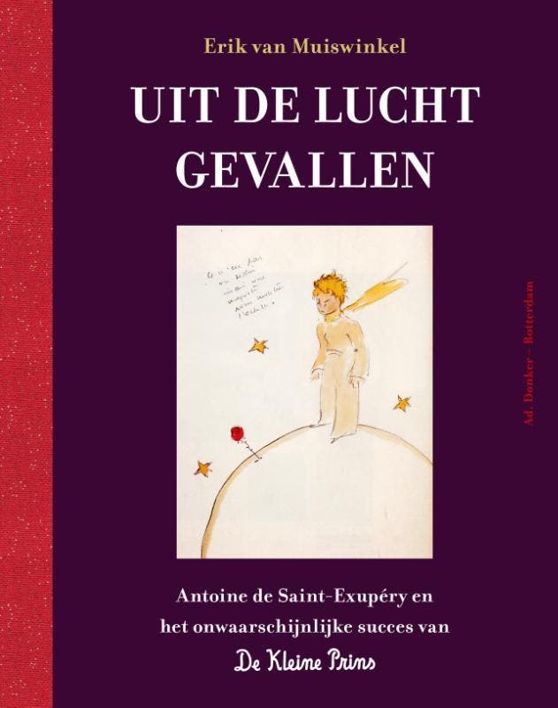 Uit De Lucht Gevallen | Erik Muiswinkel | Nieuw, Boeken, Overige Boeken, Nieuw, Verzenden