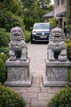 Toby (XX) - Statue, XXL paar Chinese wachtersleeuwen (Foo, Antiquités & Art