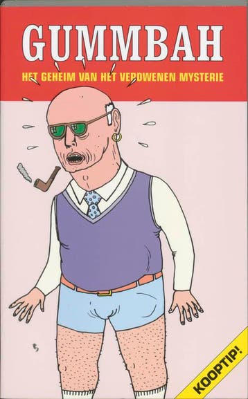Het geheim van het verdwenen mysterie 9789080348165 Gummbah, Verzenden, Gelezen, Gummbah