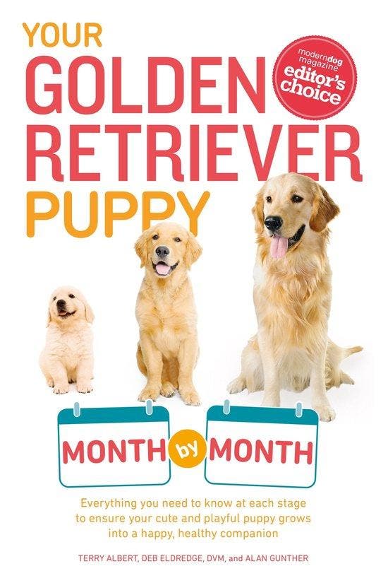 Your Golden Retriever Puppy Month by Month 9781615648856, Boeken, Taal | Engels, Gelezen, Verzenden