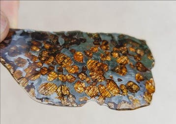 Pallasiet Sericho pallasite - Hoogte: 8.3 cm - Breedte: 4.6