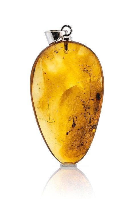 Prachtige honingbarnsteen hanger – ROVE BEETLE-inclusie –, Verzamelen, Dierenverzamelingen