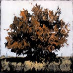 Aleix Albareda - Xiu Noranta tres