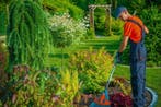 Gratis Hovenier Offertes - 6 Gratis Offertes in 2 Minuten, Tuinonderhoud of Snoeiwerk